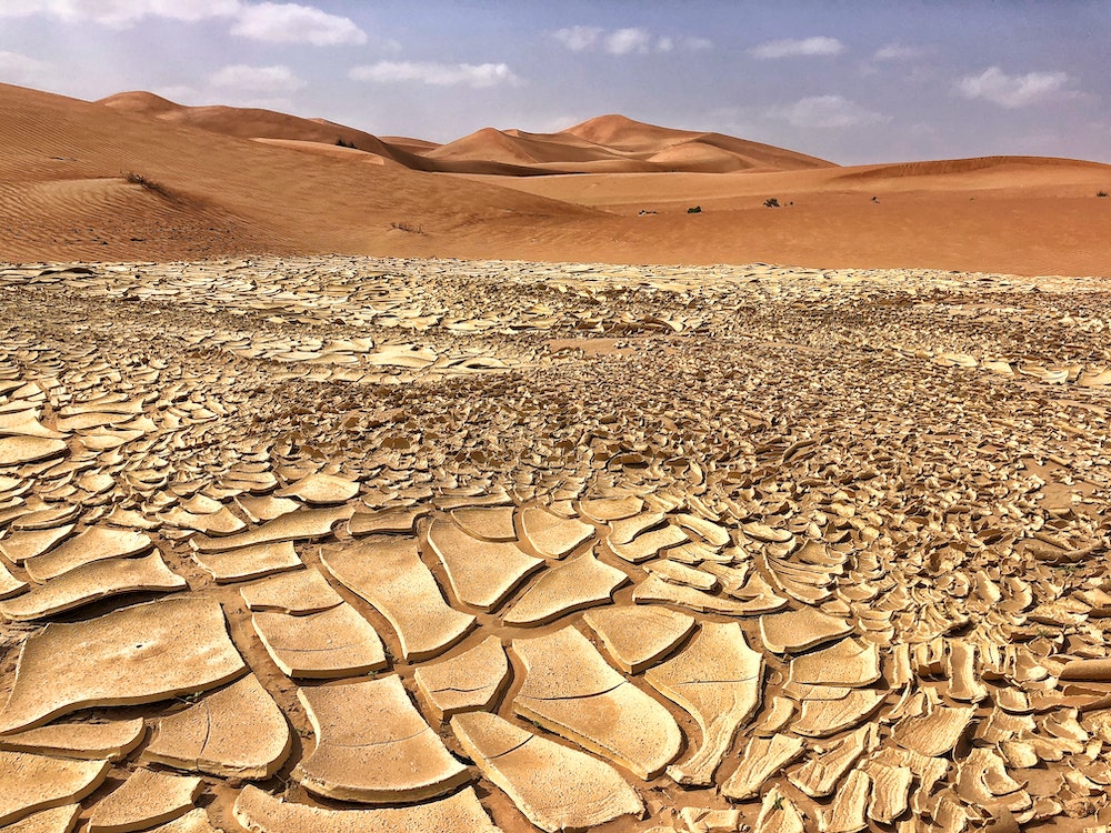 Régulations sur le changement climatique : Une analyse juridique approfondie